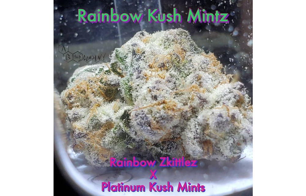 Rainbow Kush Mintz Reg 10 pk