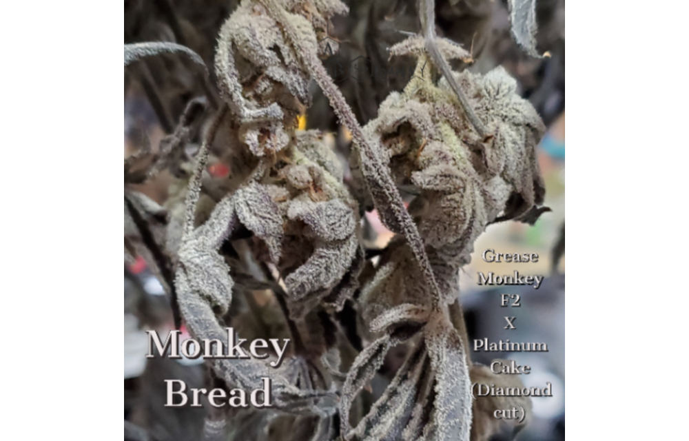 Monkey Bread Reg 10 pk