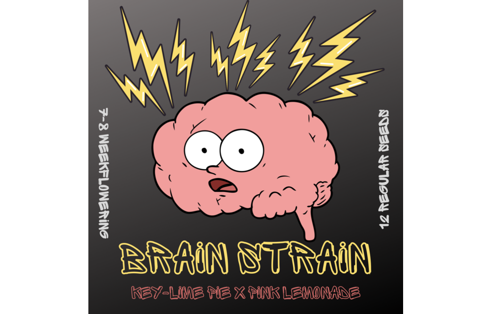 Brain Strain Reg 12 pk