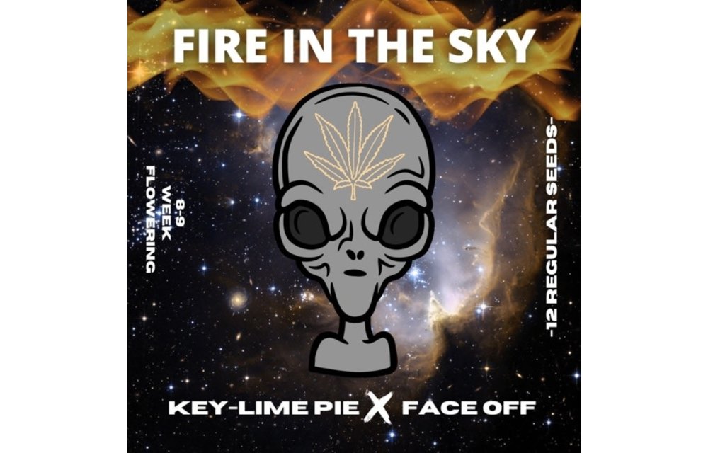 Fire In The Sky Reg 12 pk