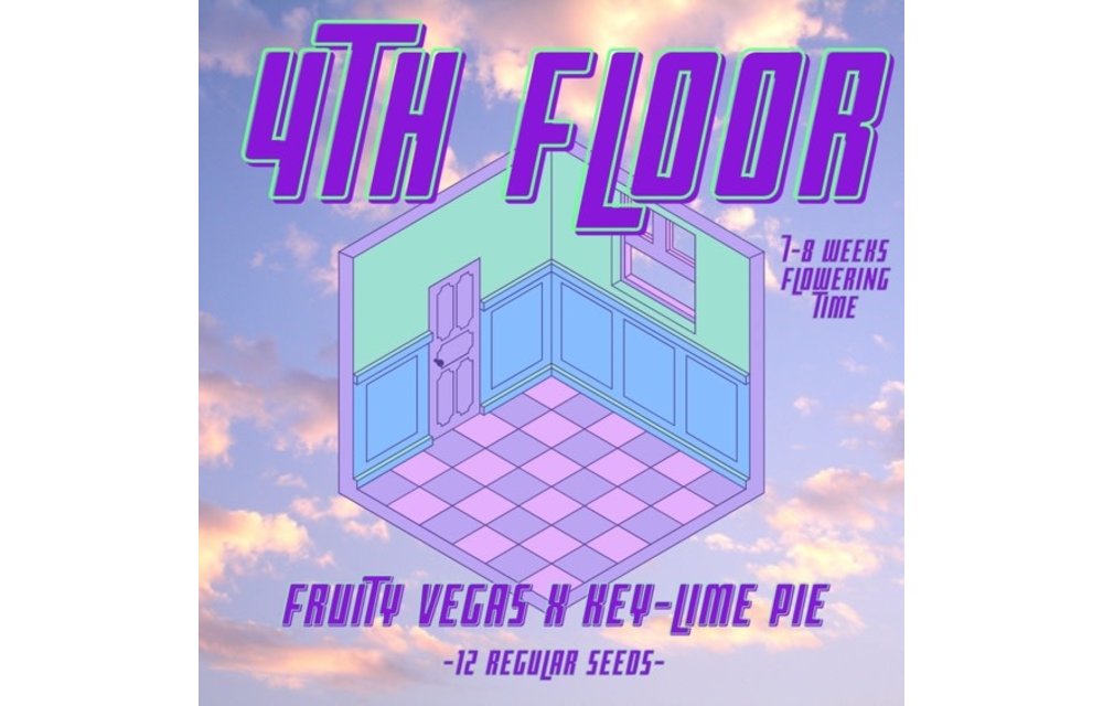 4th Floor Reg 12 pk