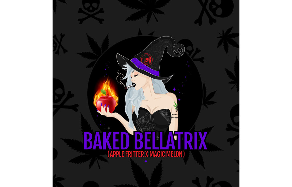 Baked Bellatrix Fem 6 pk