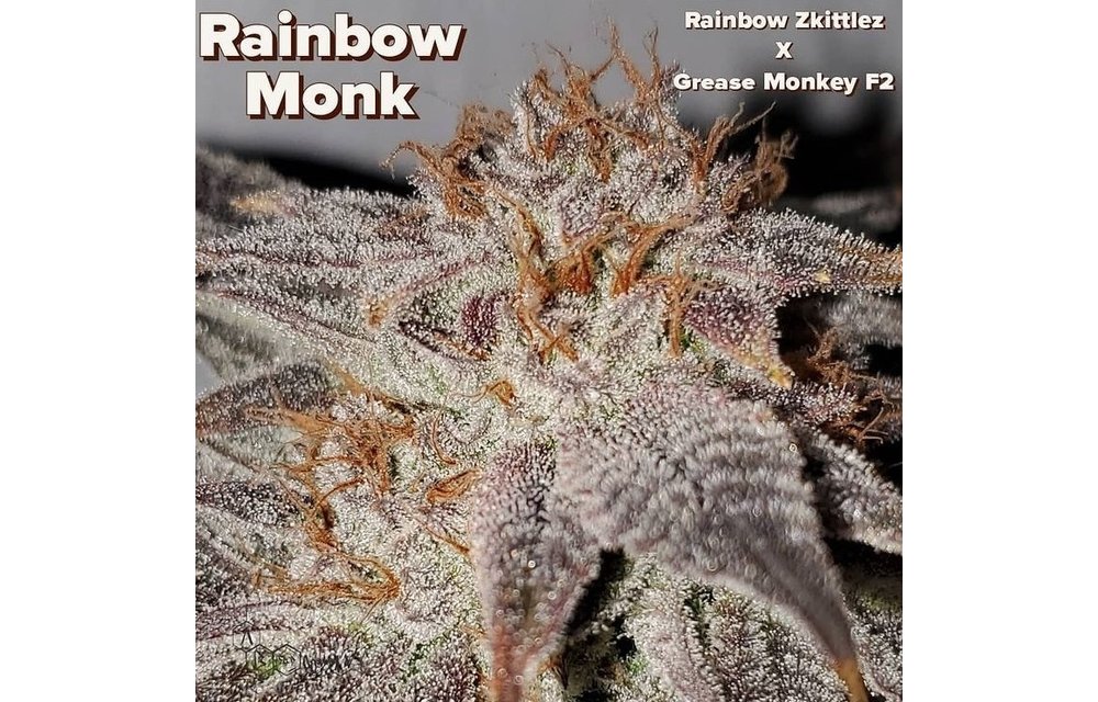 Rainbow Monk Reg 10 pk