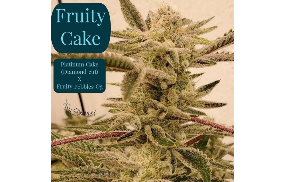 Fruity Cakes Reg 10 pk