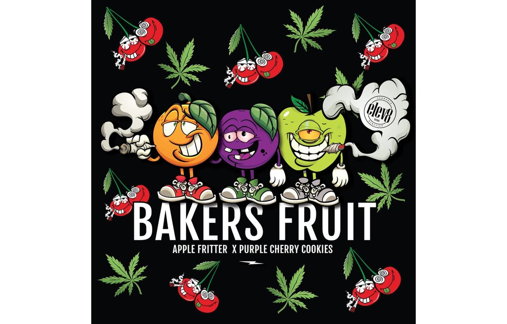 Bakers Fruit Fem 6 pk