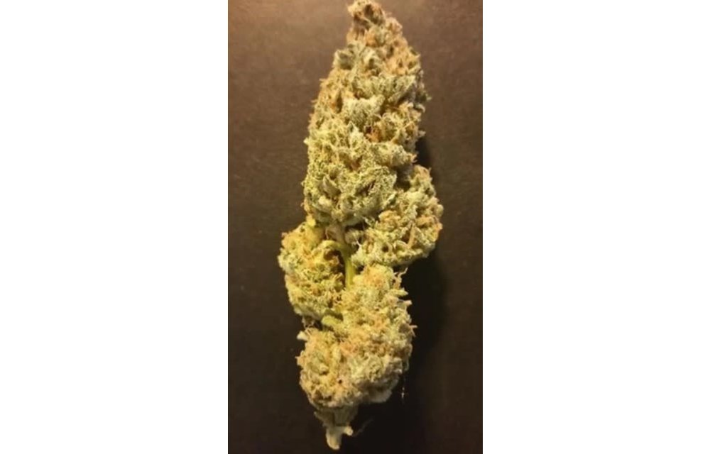 MI Pineapple EX Reg 12 pk