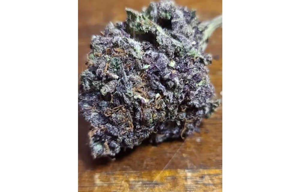 Funeral Cake Reg 12 pk