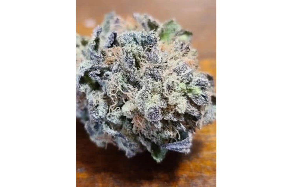 Banana Brain Reg 12 pk