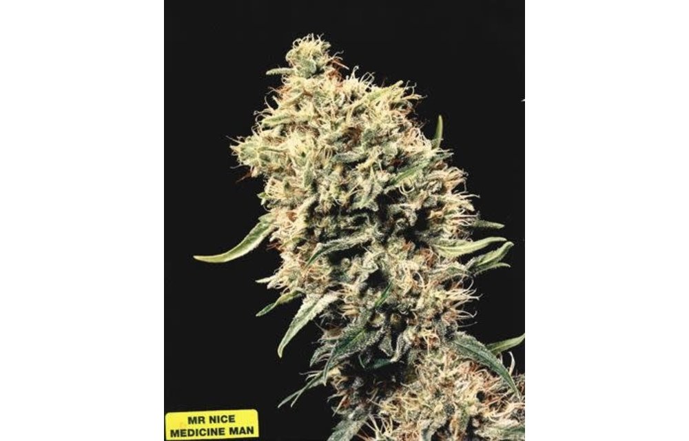 Medicine Man aka White Rhino Reg 5 pk