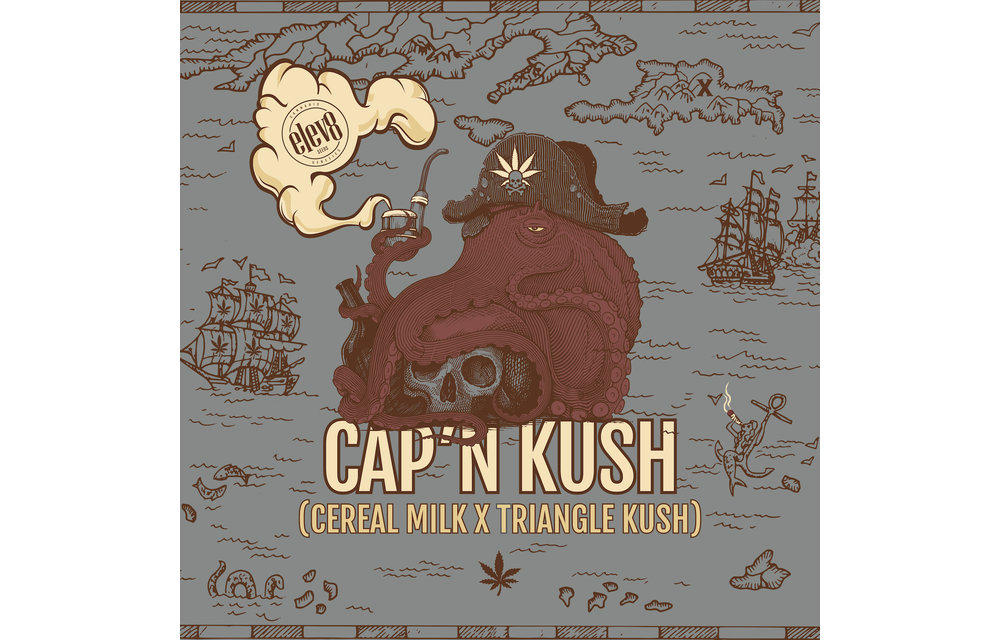 Cap'n Kush Fem 6 pk