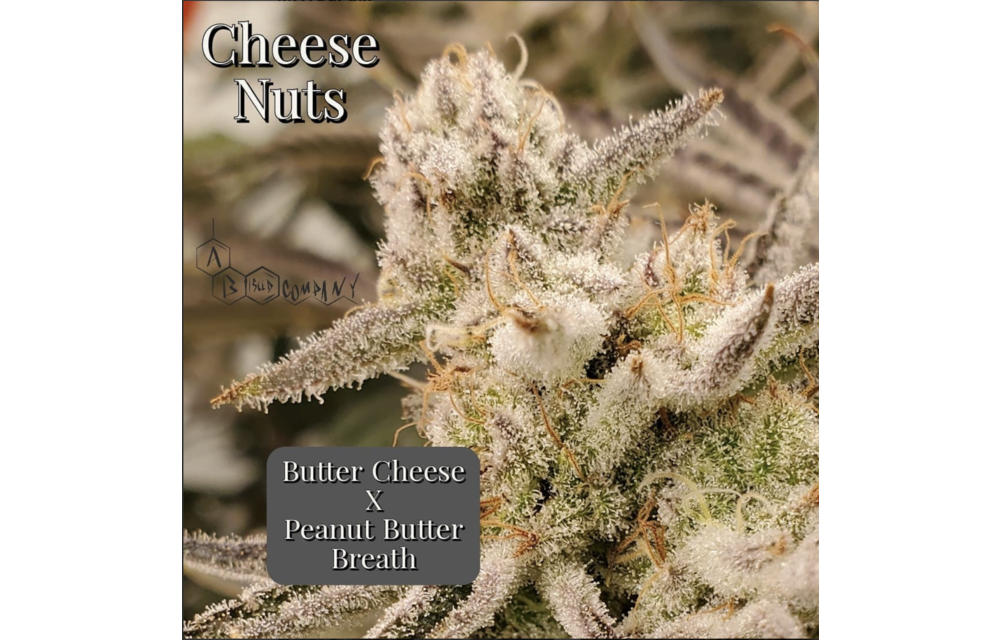 Cheese Nuts Reg 10 pk