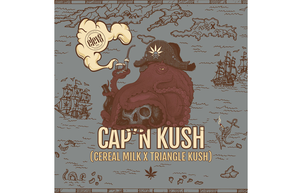 Cap'n Kush Fem 6 pk