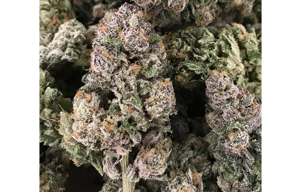 Dark Ghost Train Fem 6 pk
