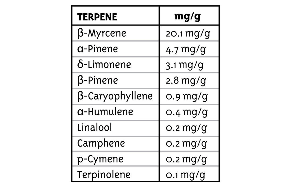 P.P.D. Auto Fem 10 pk