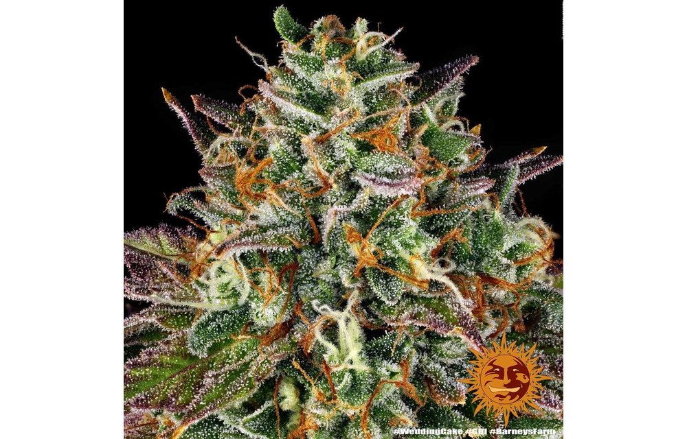 Wedding Cake Fem 5 pk