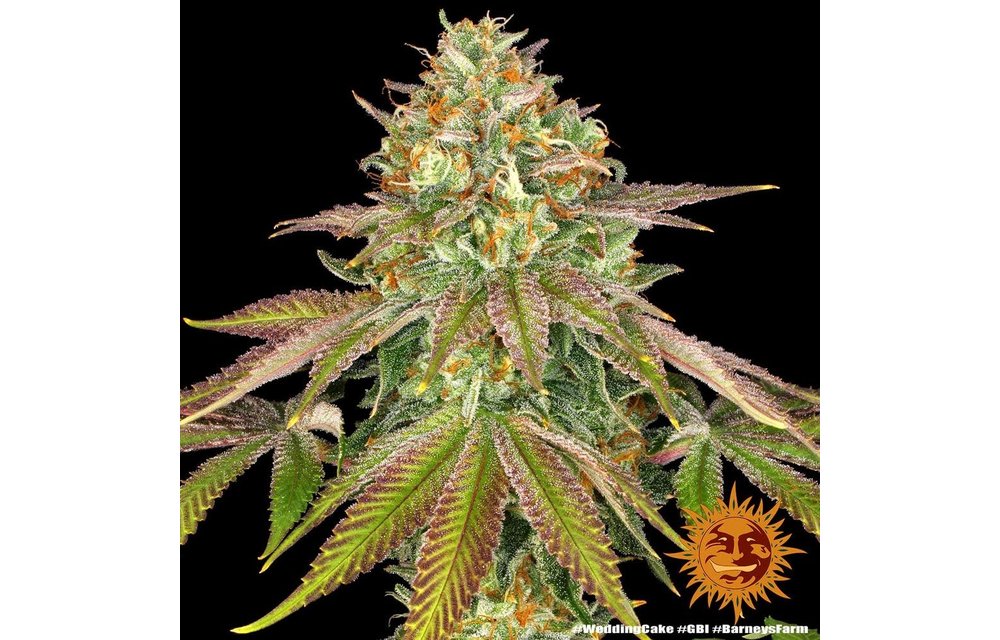 Wedding Cake Fem 5 pk