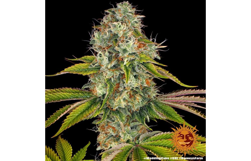Wedding Cake Fem 5 pk