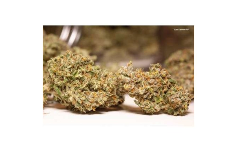 Auto Lemon Kix Fem 7 pk