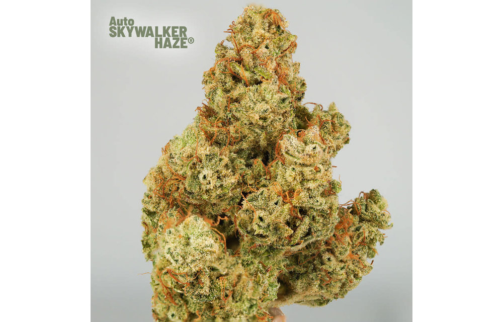 Auto Skywalker Haze Fem 7 pk