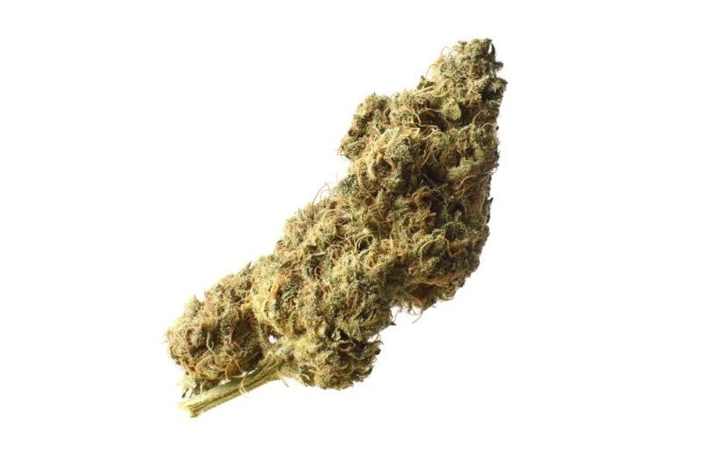 White Choco Haze Fem 3 pk