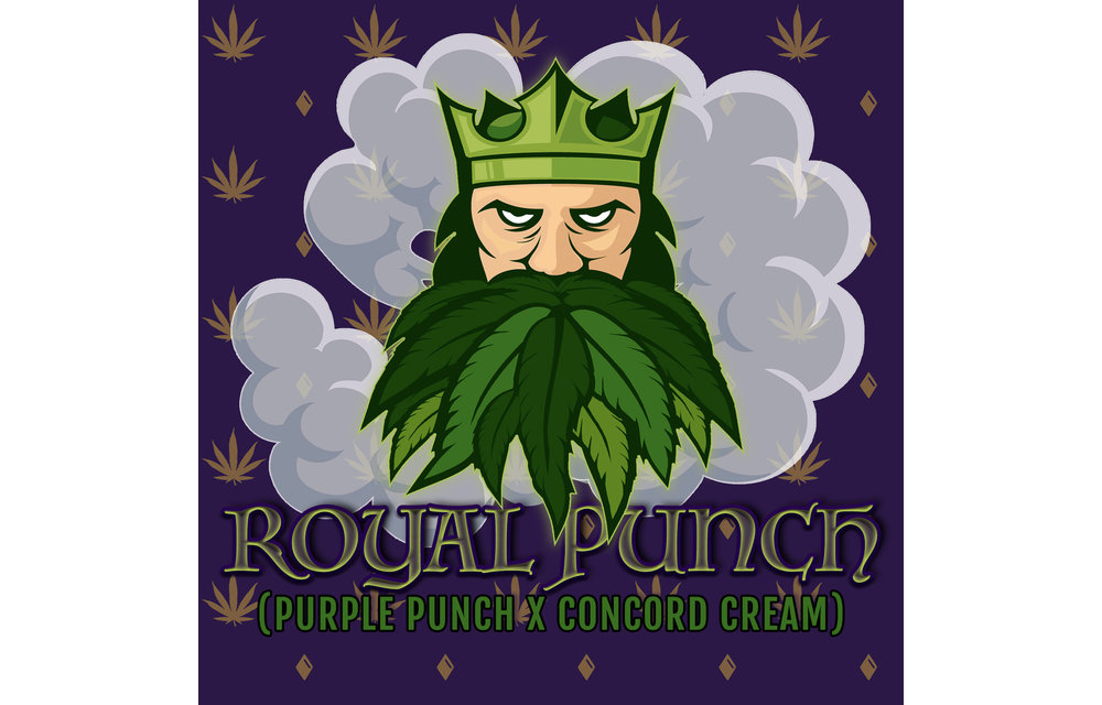 Royal Punch Fem 6 pk
