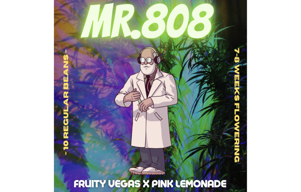 Mr. 808 Reg 10 pk