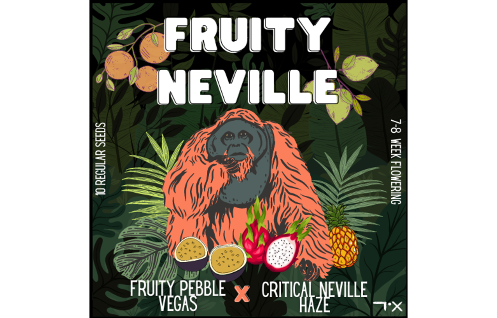 Fruity Neville Reg 10 pk