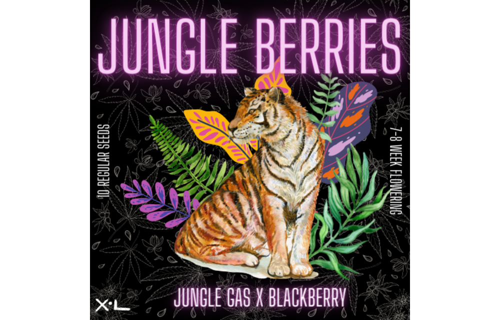 Jungle Berries Reg 10 pk