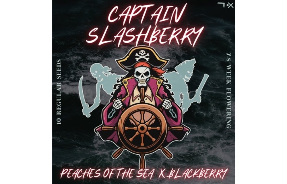 Captain Slashberry Reg 10 pk