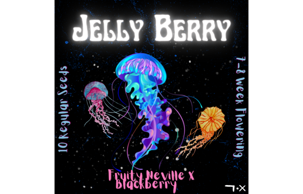 Jelly Berry Reg 10 pk