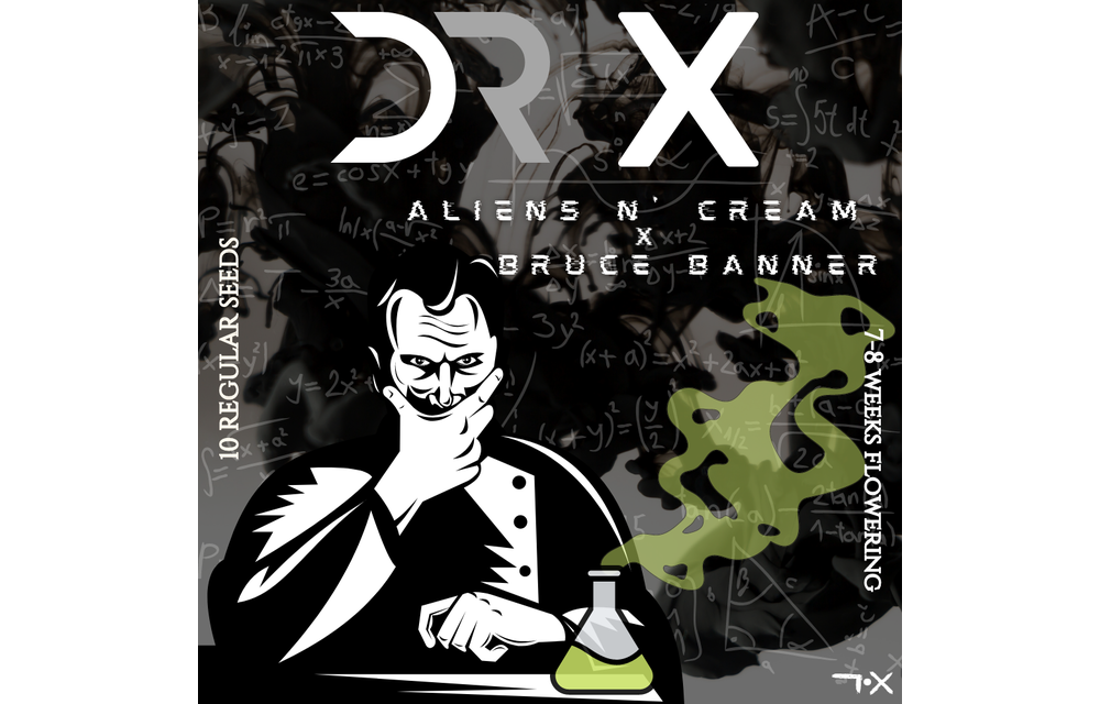 Dr. X Reg 10 pk