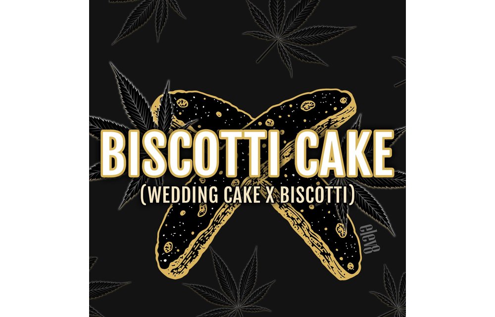 Biscotti Cake Fem 6 pk