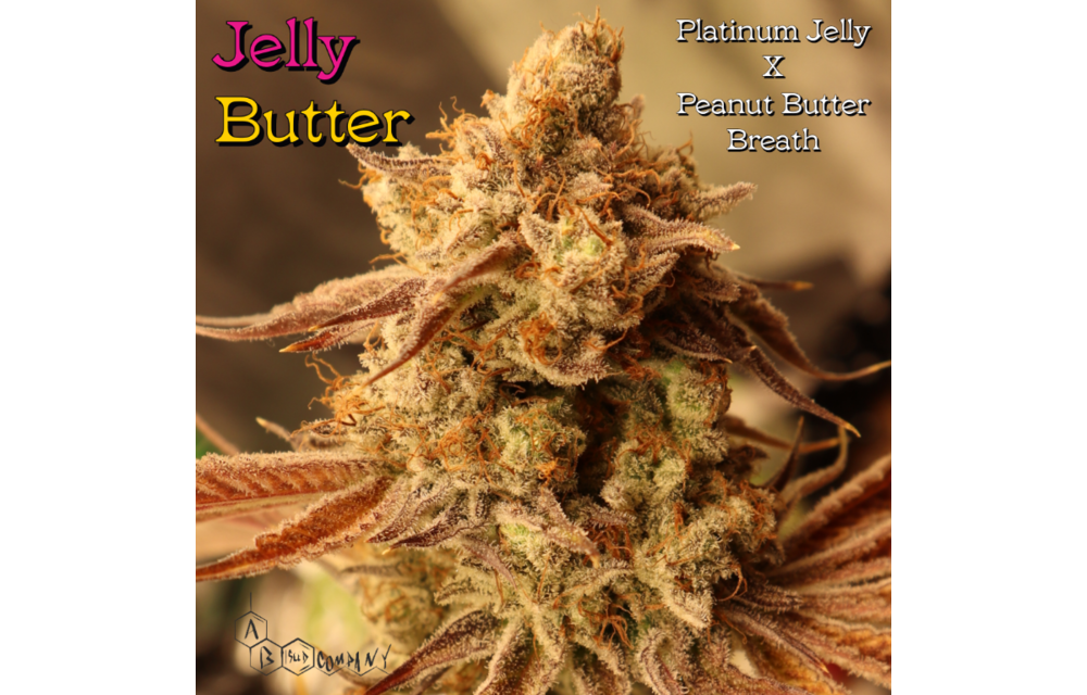 Jelly Butter Reg 10 pk