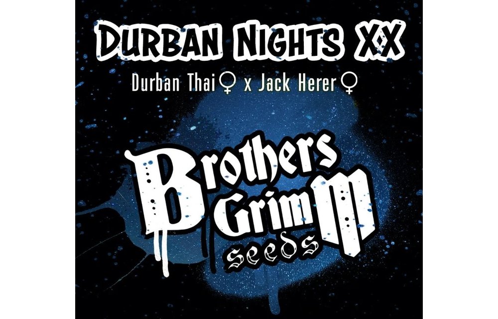 Durban Nights XX Fem 9 pk