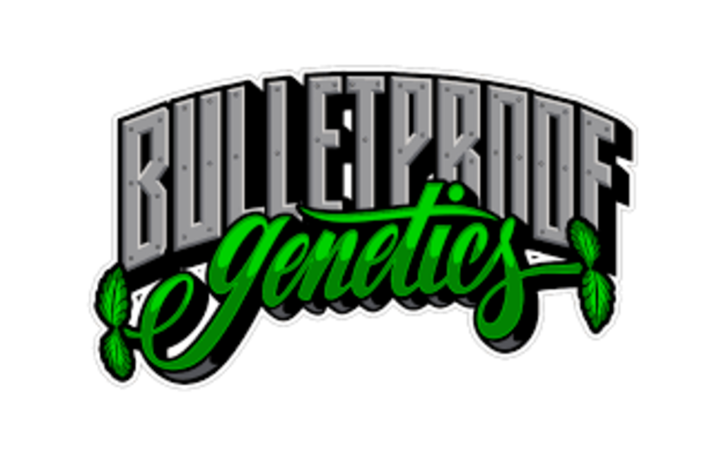UFO & Bullet Proof- ShowTime Fem 8pk