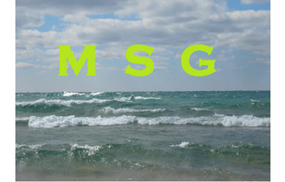 MSG CB3+ Reg 12 pk