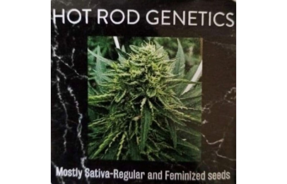 Hot Rod Genetics Holy Dope Fem 5pk