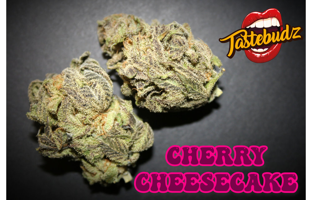Tastebudz Cherry Cheesecake Auto Fem 5 pk