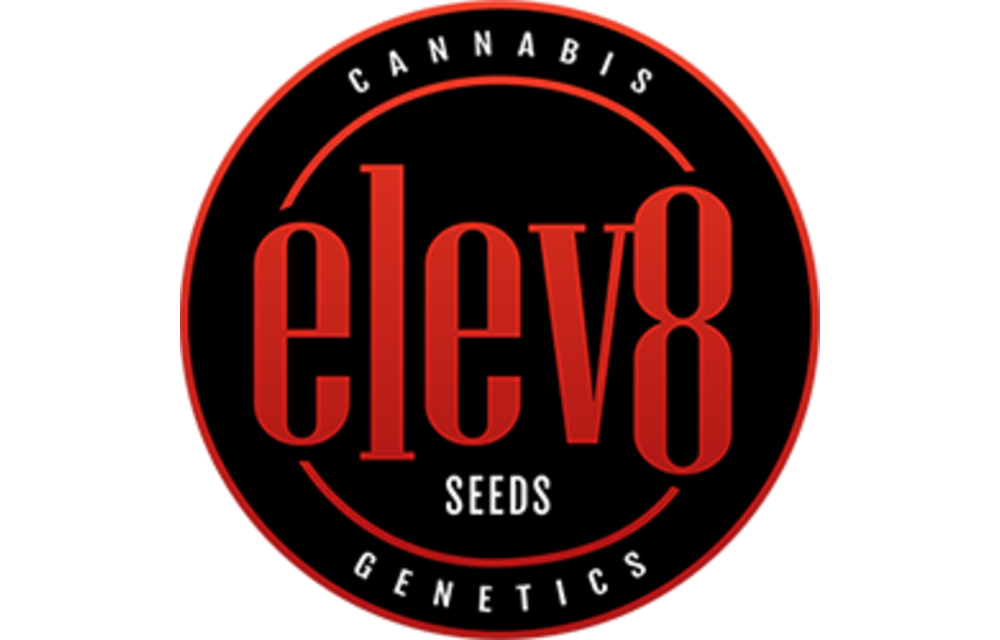Elev8 Stone Cold Mint Fem 6 pk