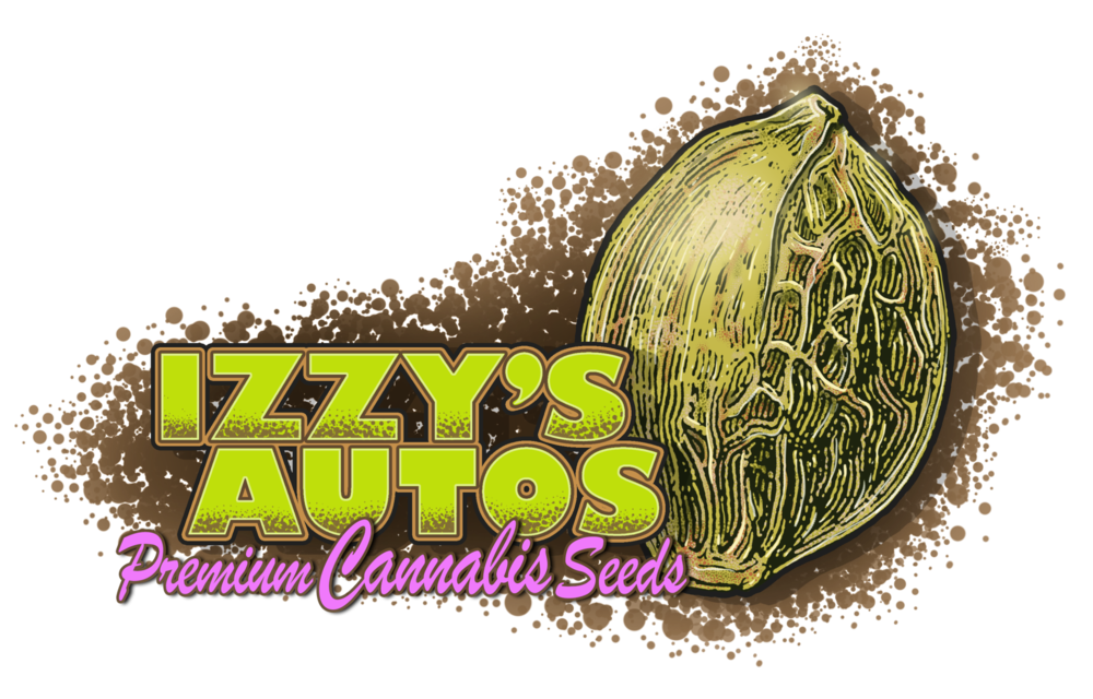 Izzy's Autos Mini-Max Diesel Fem Auto 12 pk