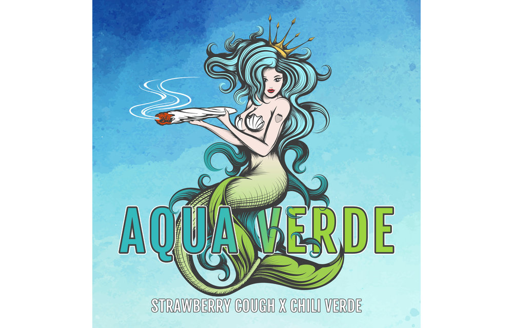 Elev8 Aqua Verde Fem 6 pk