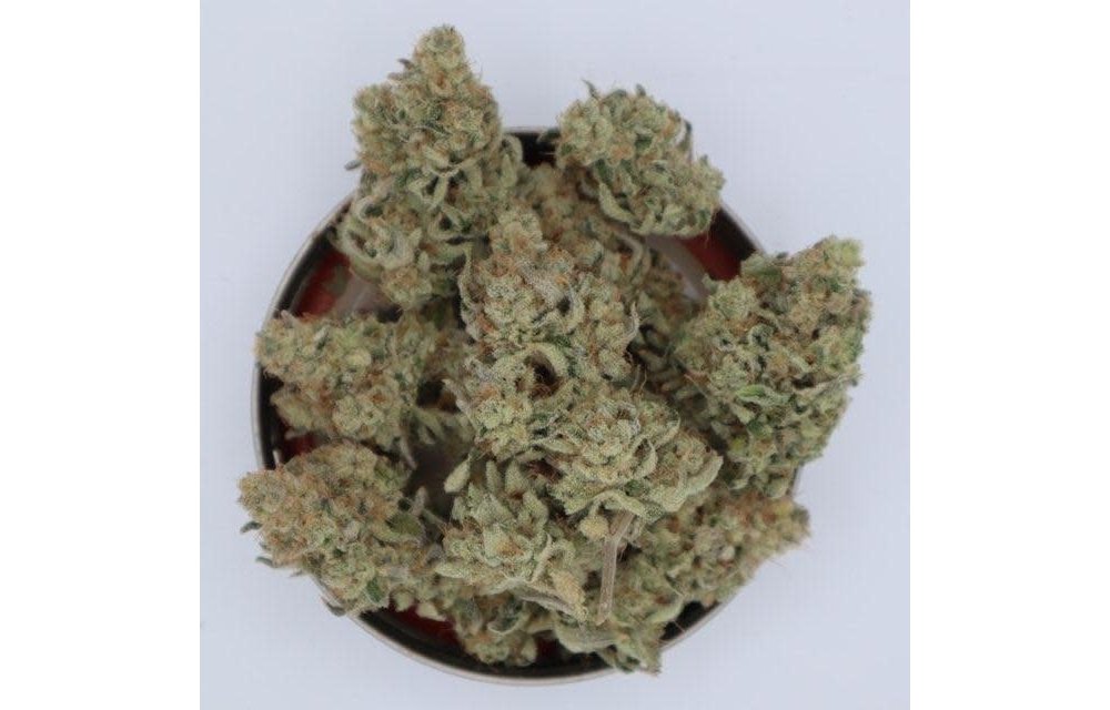 Platinum Sour Reg 12 pk
