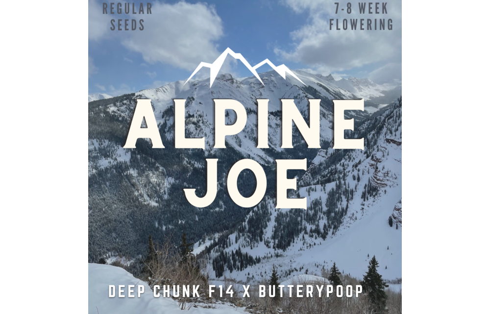 Swamp Lord Alpine Joe Reg 20 pk