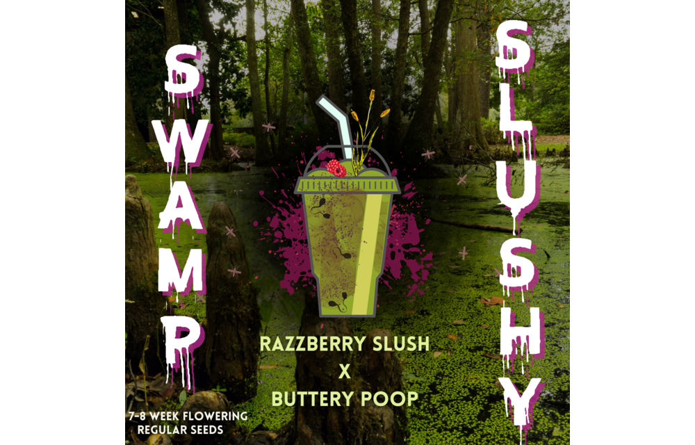 Swamp Lord Swamp Slushy Reg 20 pk