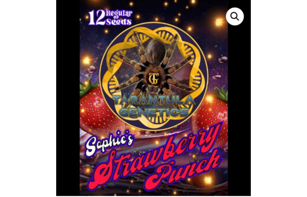Strawberry Punch Reg 12 pk