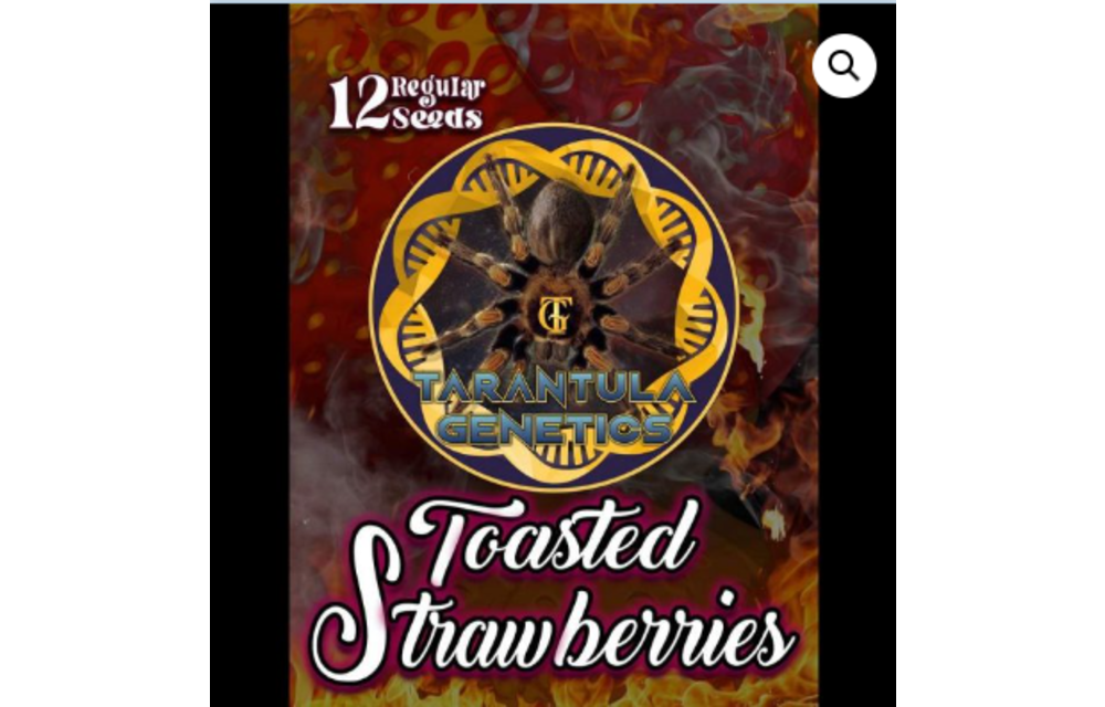 Toasted Strawberries Reg 12 pk