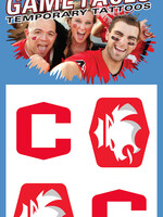 Innovative Adhesives Innovative Adhesives waterless tattoo 4pk