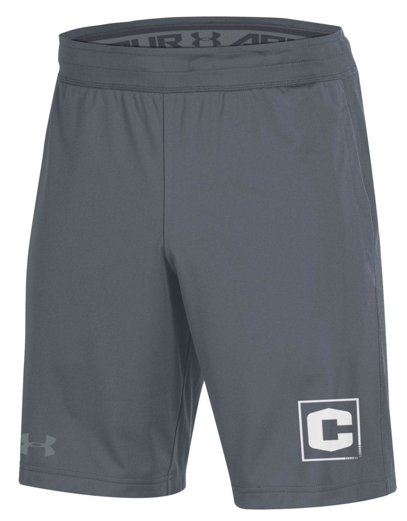 ua raid shorts