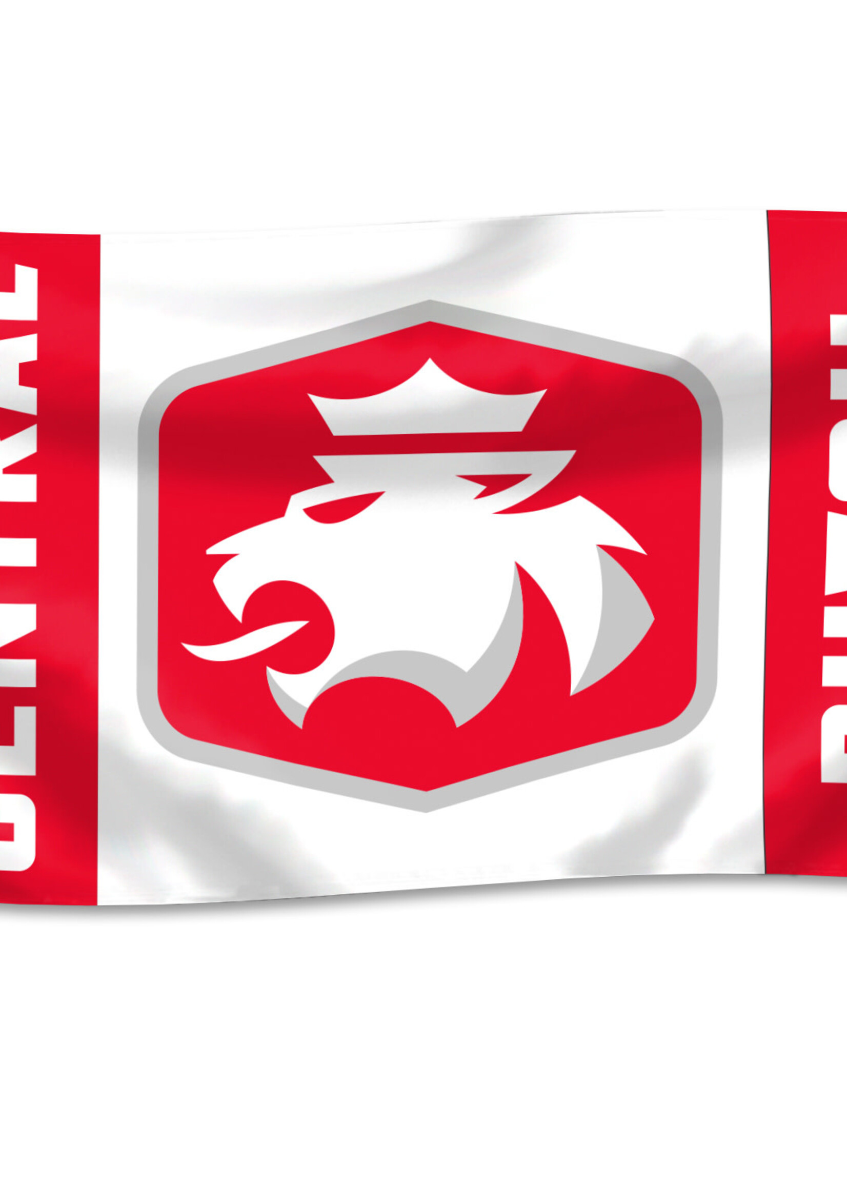 UBF UBF 3x5 House Flag