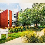 PHOTO Photographx Postcard Roe